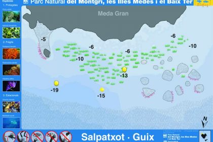 Punto de buceo Salpatxot Guix en las Islas Medas