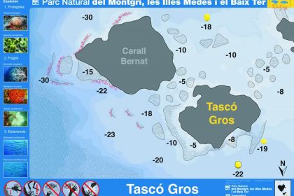 Punto de buceo Tasco Gros en las Islas Medas